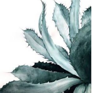 Meet your Posher, Emilie